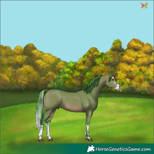 Horse Color:Watercolor White Spotted Brown Dun Splash 