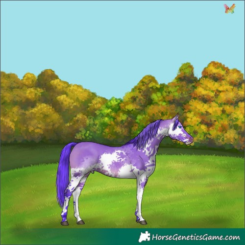 Horse Color:Watercolor White Spotted Brown Dun Splash 