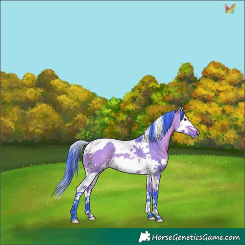 Horse Color:Watercolor Bay Dun Splash Tobiano 