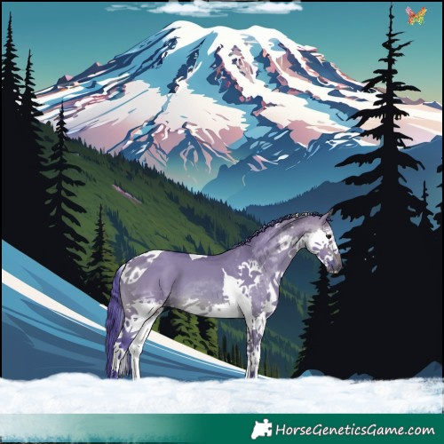 Horse Color:Watercolor Brown Dun Splash Tobiano