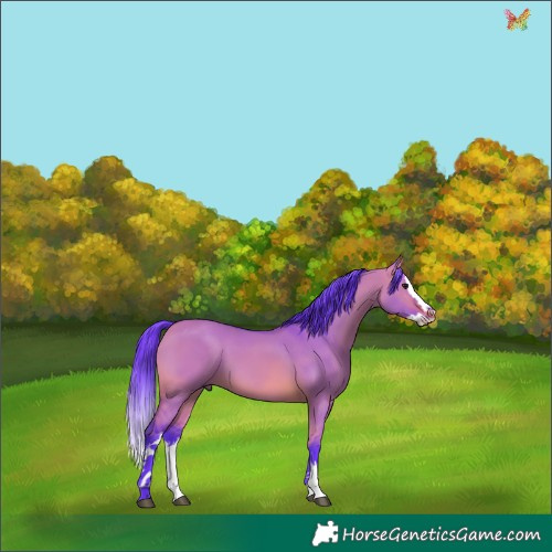 Horse Color:Watercolor White Spotted Bay Dun Splash 