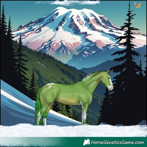 Horse Color:Watercolor Brown Dun Splash Tobiano