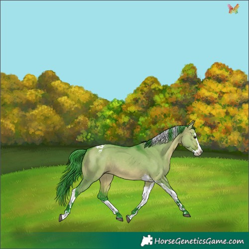 Horse Color:Watercolor Brown Dun Splash Tobiano 