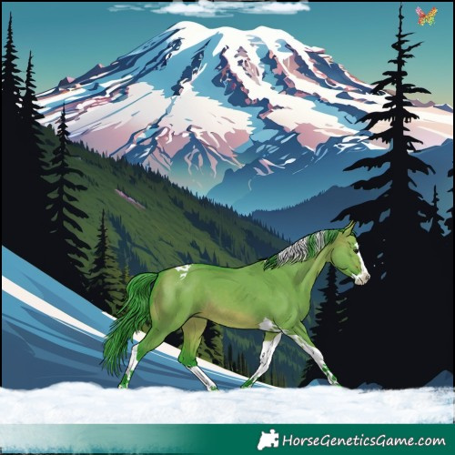 Horse Color:Watercolor Brown Dun Splash Tobiano 