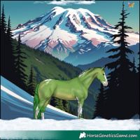 Horse Color:Watercolor Brown Dun Splash Tobiano