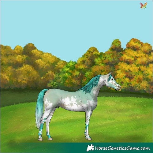 Horse Color:Watercolor White Spotted Bay Dun Splash 