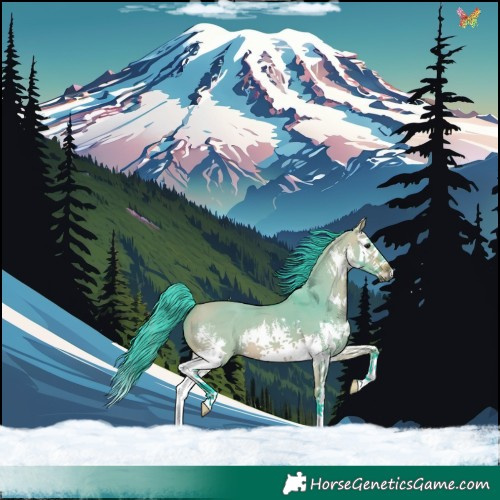 Horse Color:Watercolor White Spotted Bay Dun Splash 