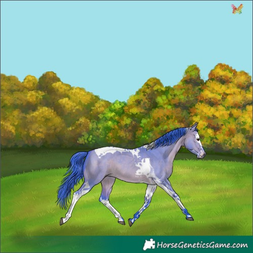 Horse Color:Watercolor Bay Dun Splash Tobiano 