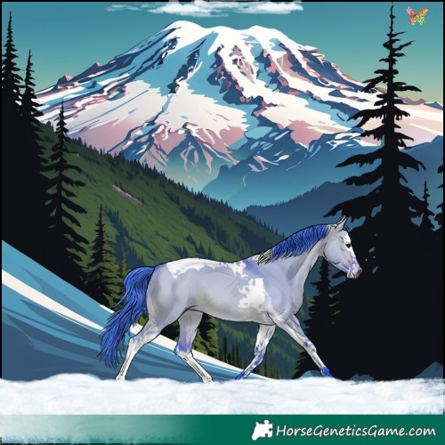 Horse Color:Watercolor Bay Dun Splash Tobiano 