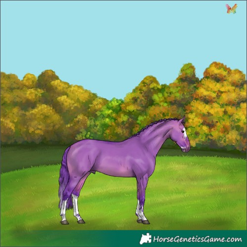 Horse Color:Watercolor White Spotted Bay Dun Splash 