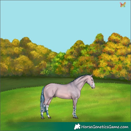 Horse Color:Watercolor White Spotted Bay Dun Splash 