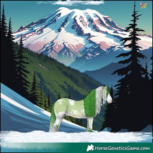 Horse Color:Watercolor Brown Dun Splash Tobiano Rabicano 