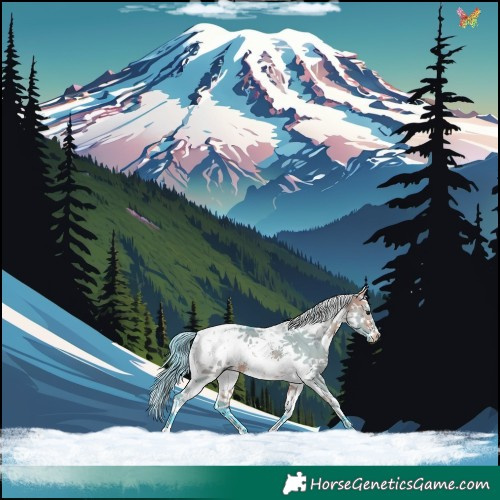 Horse Color:Watercolor White Spotted Bay Dun Sabino Splash 