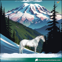Horse Color:Watercolor White Spotted Bay Dun Sabino Splash 