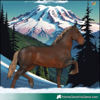 Horse Color:White Spotted Liver Chestnut 