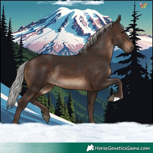 Horse Color:Silver Brown 