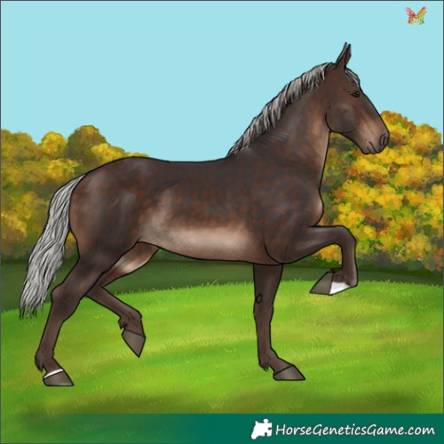Horse Color:Silver Brown 