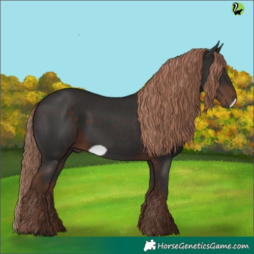 Horse Color:Liver Chestnut Frame 