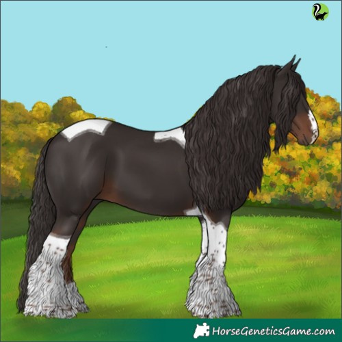 Horse Color:Liver Chestnut Tobiano 
