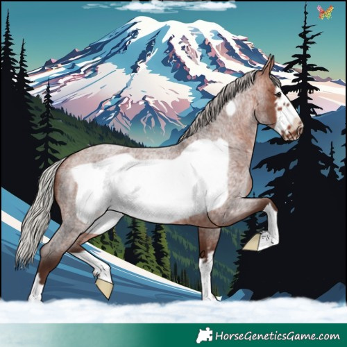 Horse Color:Silver Bay Roan Frame 