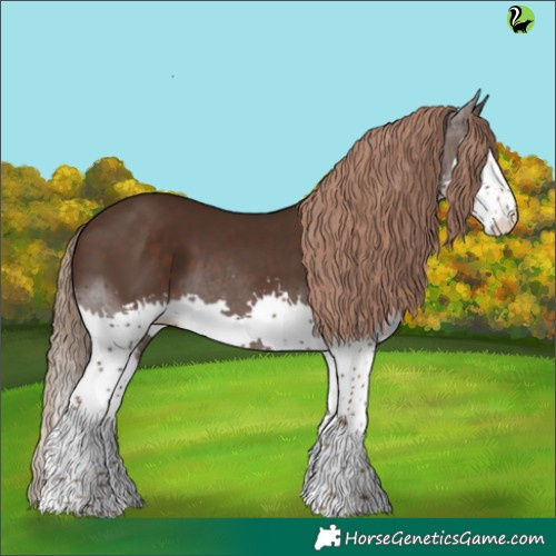 Horse Color:Liver Chestnut Splash 