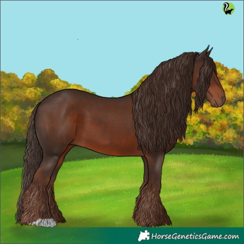 Horse Color:Liver Chestnut 