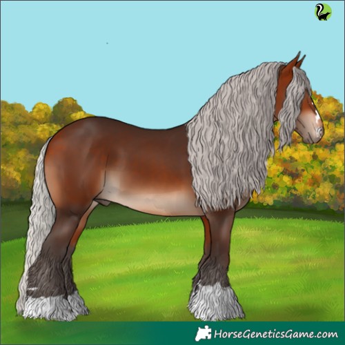 Horse Color:Silver Brown 