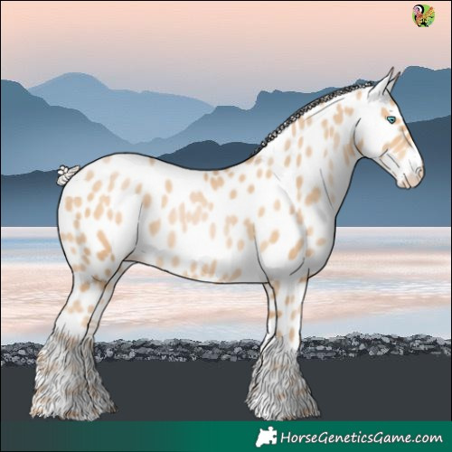 Horse Color:White Spotted Silver Buckskin Pearl Near Leopard 