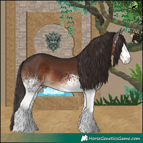 Horse Color:White Spotted Liver Chestnut Sabino 