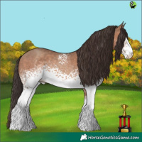 Horse Color:White Spotted Sable Champagne