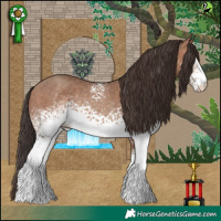 Horse Color:White Spotted Sable Champagne 