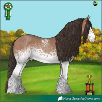 Horse Color:White Spotted Sable Champagne 
