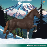 Horse Color:Liver Chestnut Tobiano 
