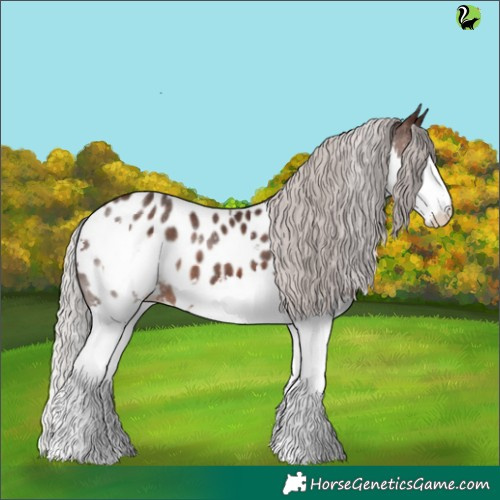 Horse Color:Silver Brown Splash Appaloosa 