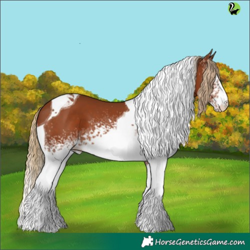 Horse Color:White Spotted Chestnut Tobiano 