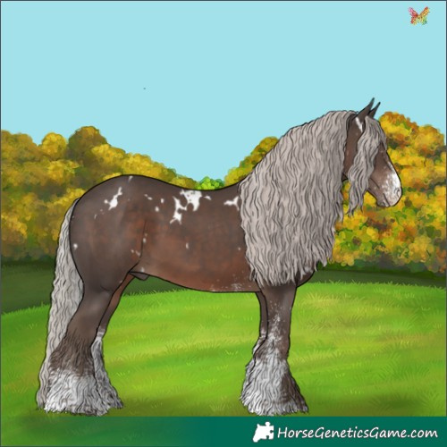 Horse Color:White Spotted Silver Black 