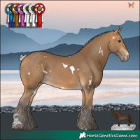 Horse Color:White Spotted Silver Buckskin 