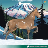 Horse Color:White Spotted Silver Buckskin 