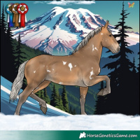 Horse Color:White Spotted Silver Buckskin 