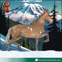Horse Color:White Spotted Silver Buckskin 