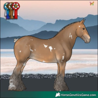Horse Color:White Spotted Silver Buckskin 