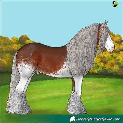 Horse Color:White Spotted Silver Brown 