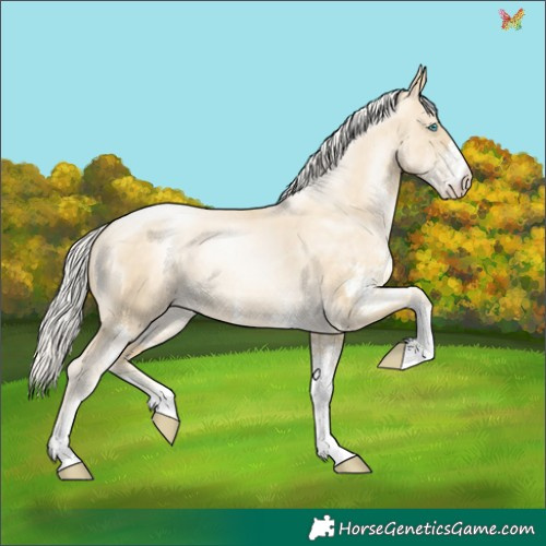 Horse Color:White Spotted Silver Sable Cream Champagne Pearl 