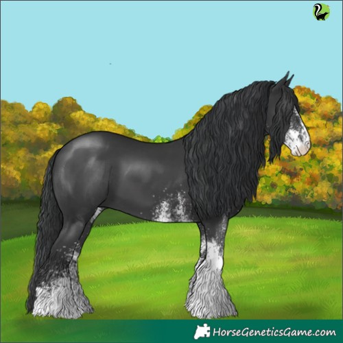 Horse Color:White Spotted Black 