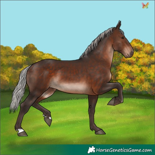 Horse Color:Silver Brown 