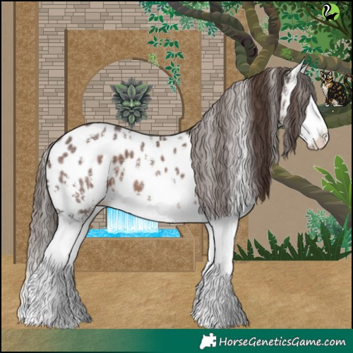 Horse Color:Liver Chestnut Sabino Splash Near Leopard 