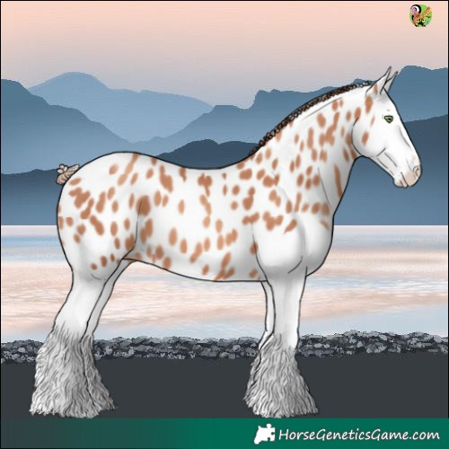 Horse Color:Gold Champagne Splash Near Leopard 