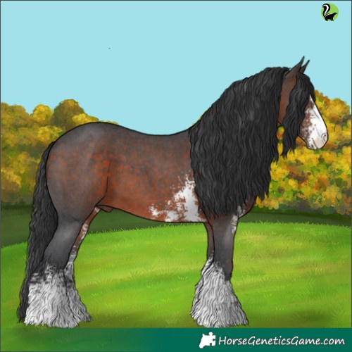 Horse Color:Brown Sabino 