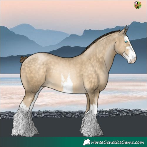Horse Color:White Spotted Buckskin Pearl 