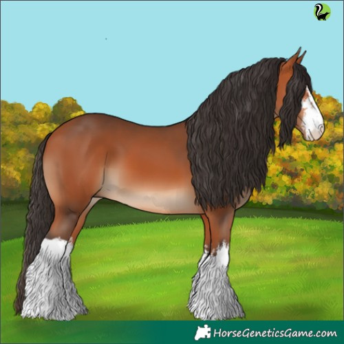 Horse Color:White Spotted Bay 